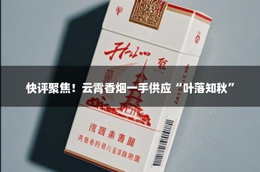 快评聚焦！云霄香烟一手供应“叶落知秋”