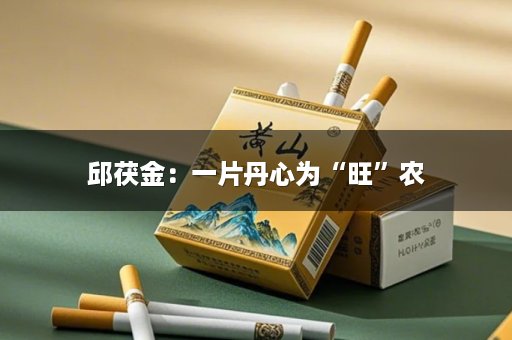 邱茯金：一片丹心为“旺”农