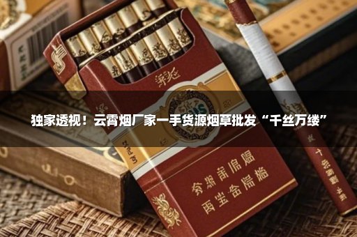 独家透视！云霄烟厂家一手货源烟草批发“千丝万缕”