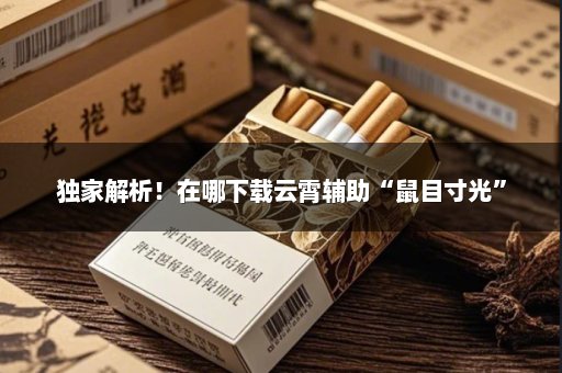 独家解析！在哪下载云霄辅助“鼠目寸光”